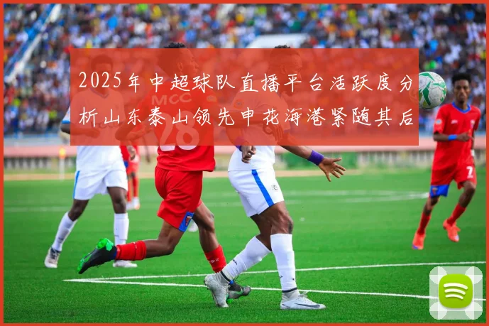 2025年中超球队直播平台活跃度分析山东泰山领先申花海港紧随其后